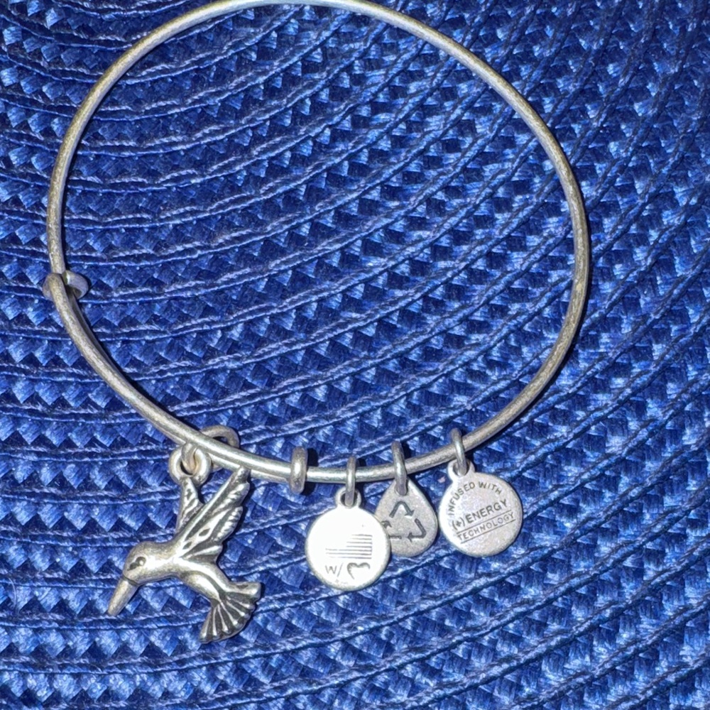 Silver Alex and Ani Charm Bangle Bracelet expandable